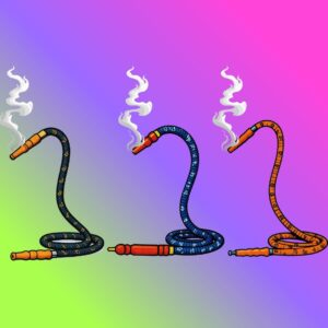 Hookah Hoses