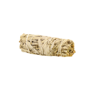 INC-SAGE 4 INCH