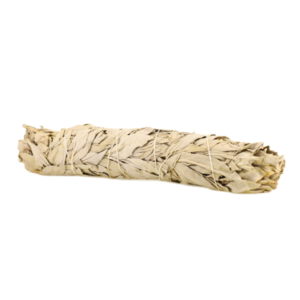 INC SAGE 9 INCH